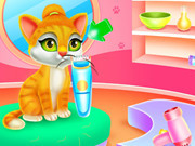 Cute Pets Caring And Dressup